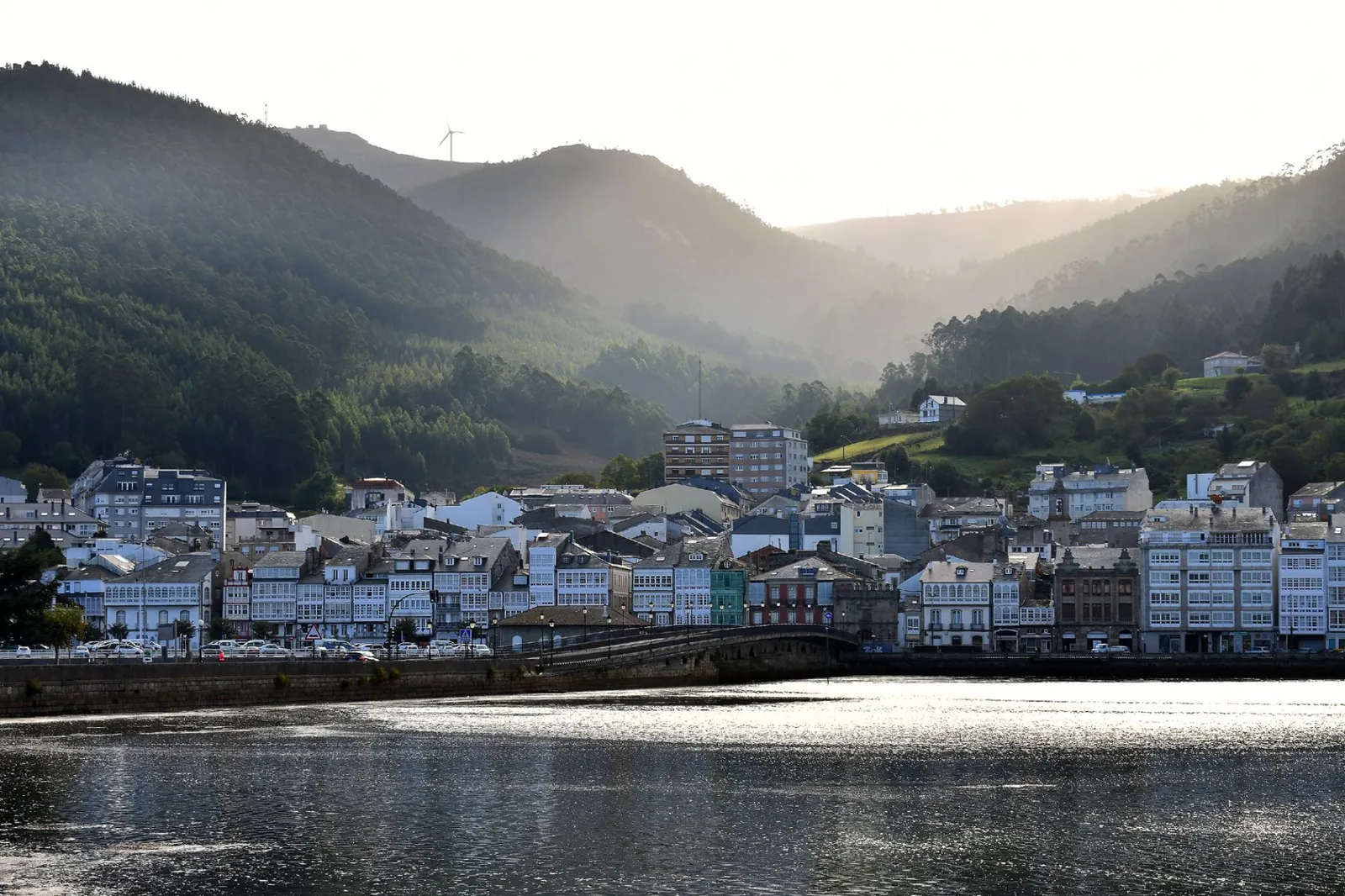 Viveiro